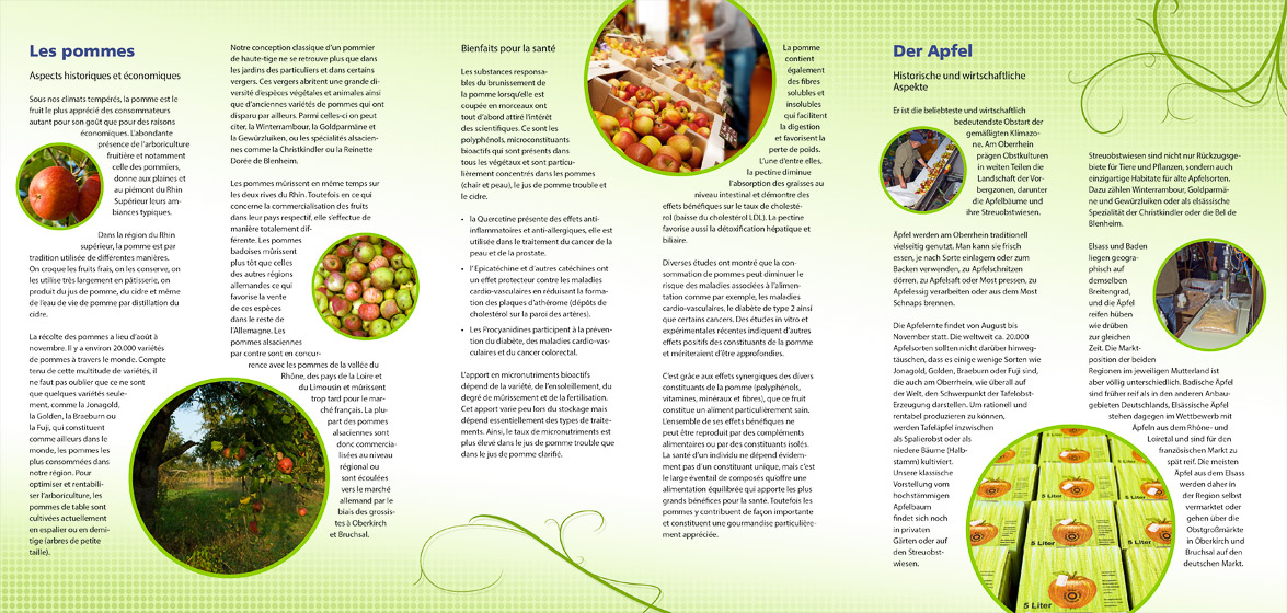 Beispiel Flyergestaltung