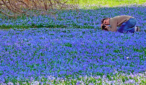 Link nach www.foto-karlsruhe.de