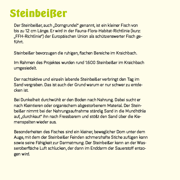 Beispiel Gestaltung Infotafel