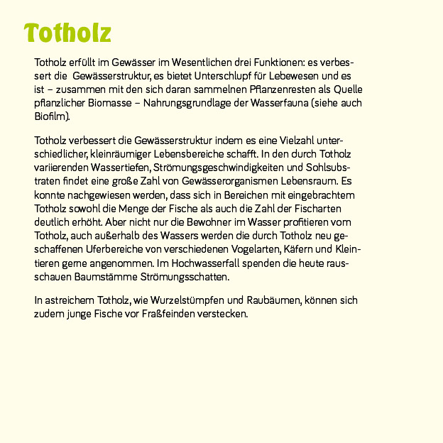 Beispiel Gestaltung Infotafel