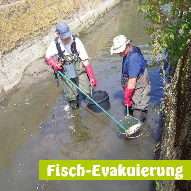 Beispiel Gestaltung Infotafel