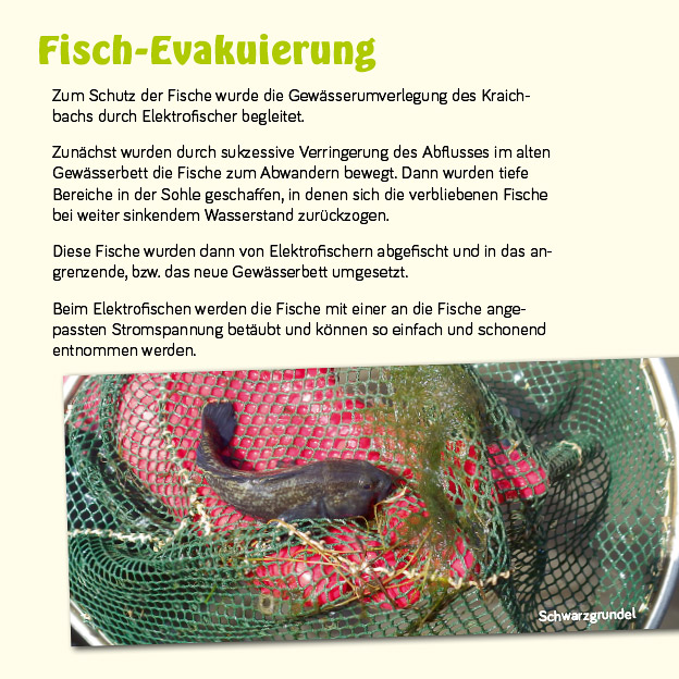 Beispiel Gestaltung Infotafel
