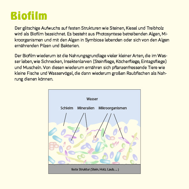 Beispiel Gestaltung Infotafel