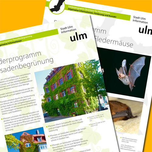 Infoblatt Förderprogramm