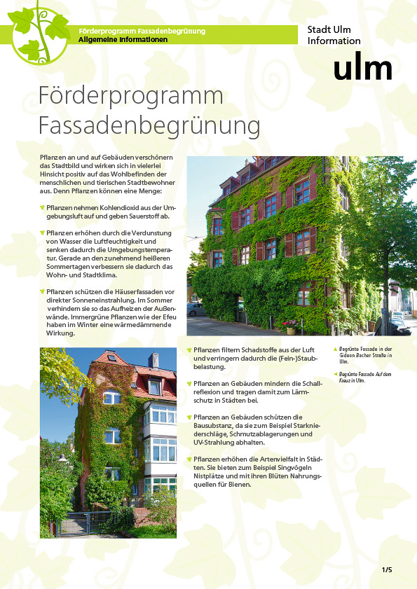 Beispiel Gestaltung Infoblatt Fassadenbegrünung