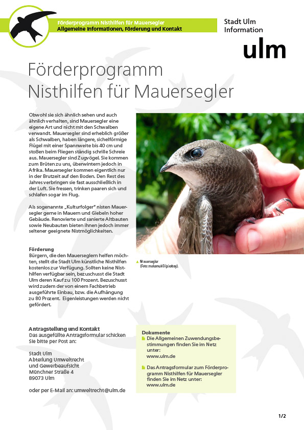 Beispiel Gestaltung Infoblatt Nisthilfen für Mauersegler