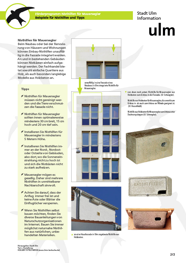 Beispiel Gestaltung Infoblatt Nicthilfen für Mauersegler