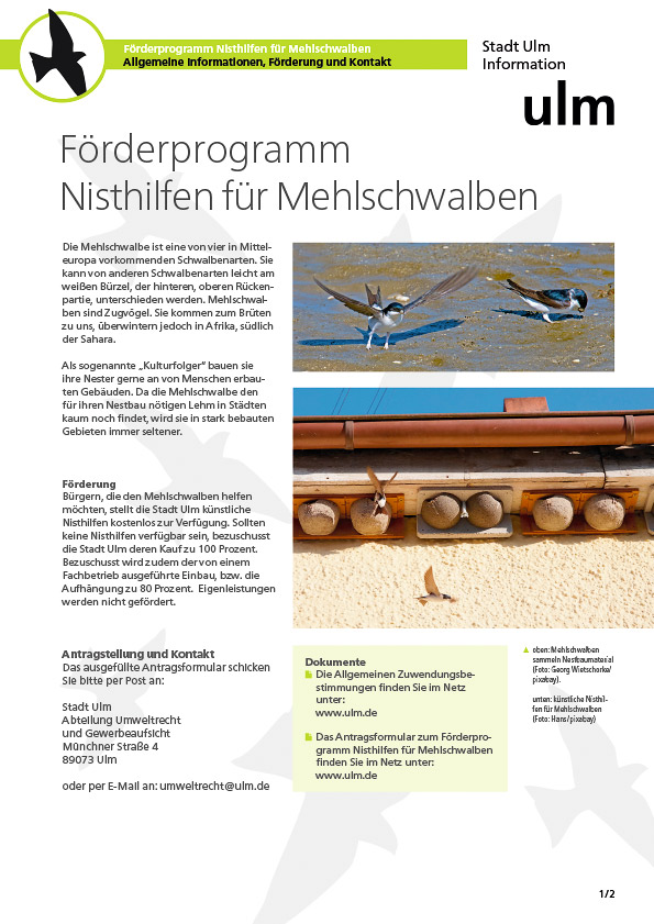 Beispiel Gestaltung Infoblatt Nisthilfen für Mehlschwalben