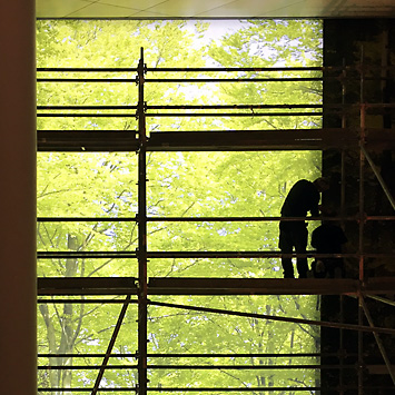 Waldbild in den Vienna Twin Towers